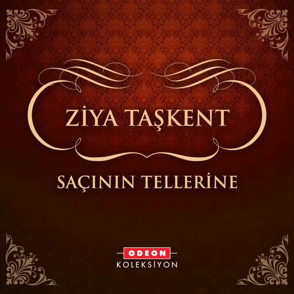 Saçının Tellerine