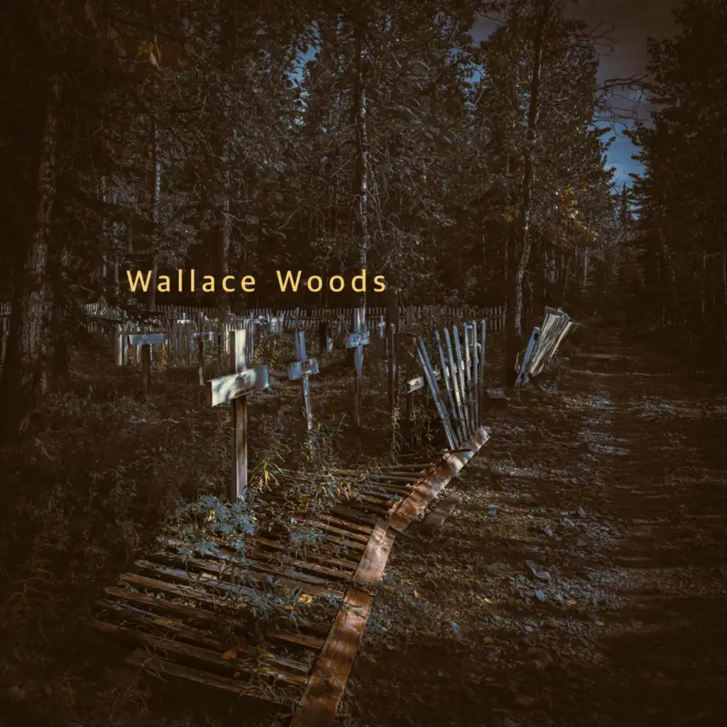 Wallace Woods