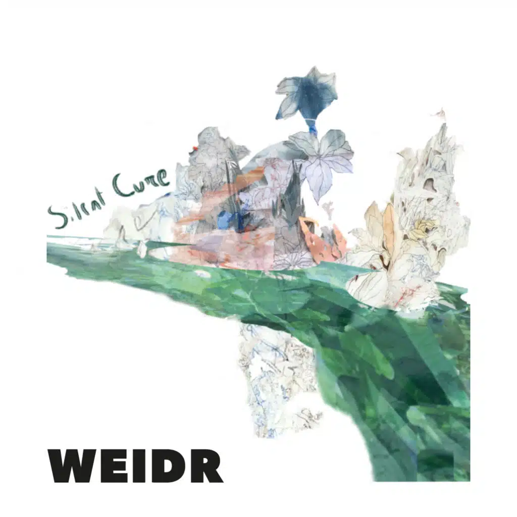 Weidr