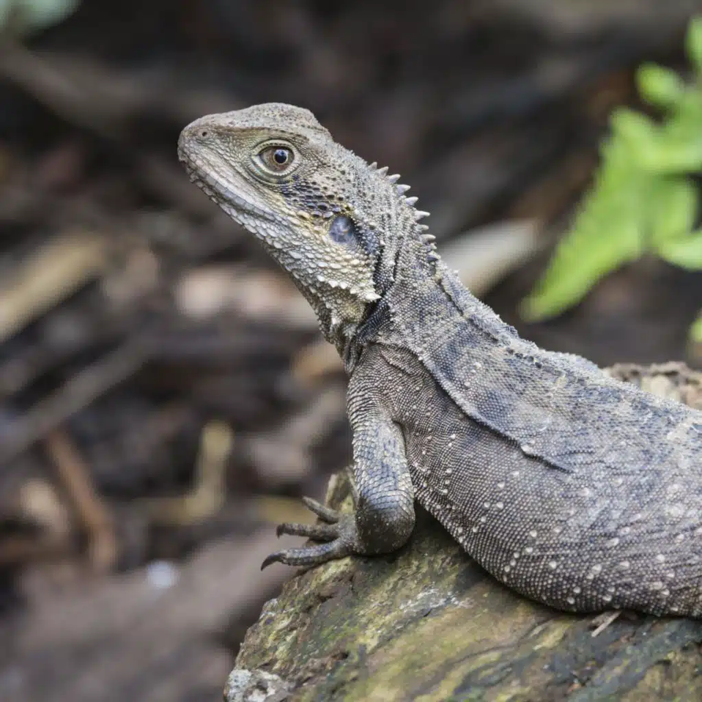 Lebende Fossilien - Von der Evolution vergessen
