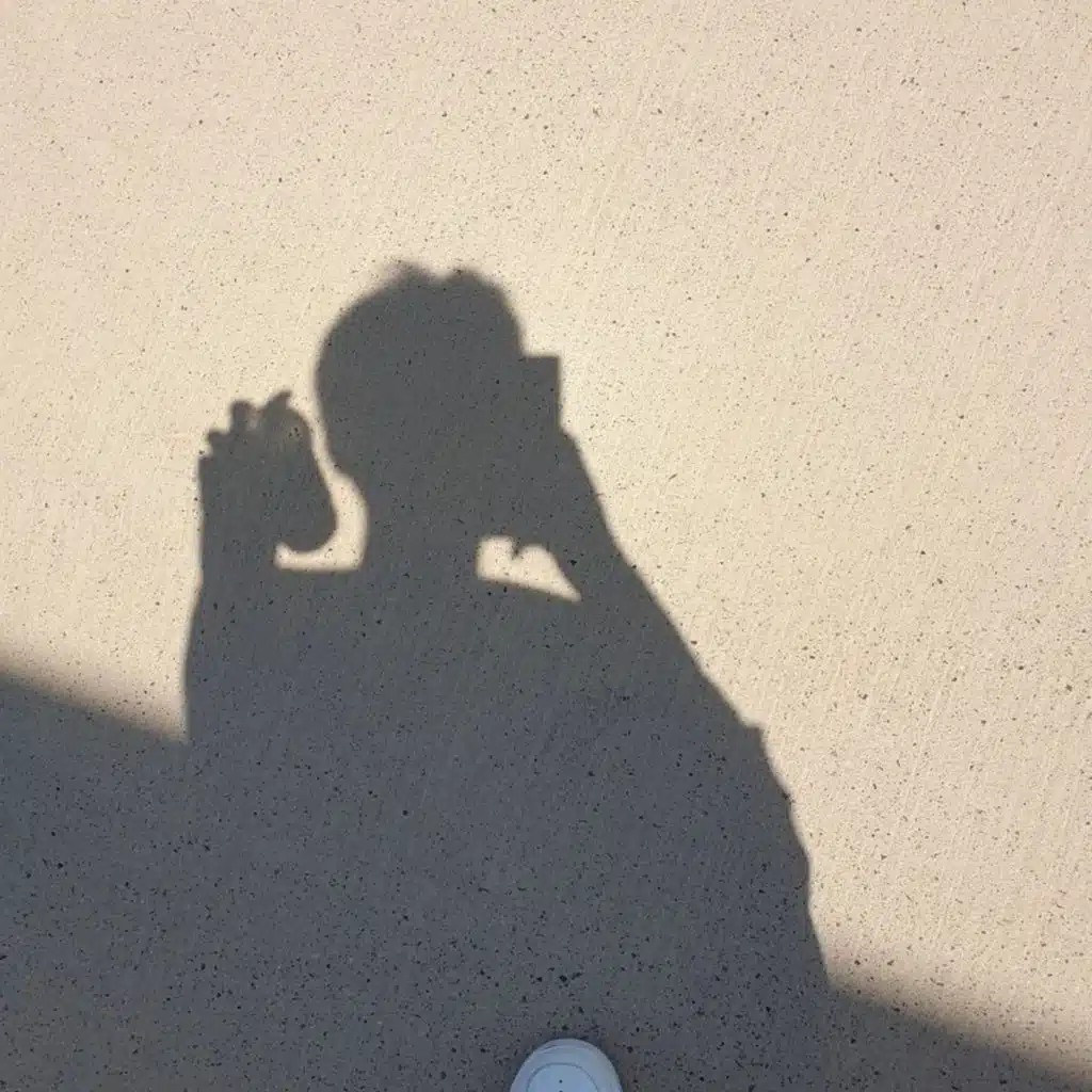 권태현