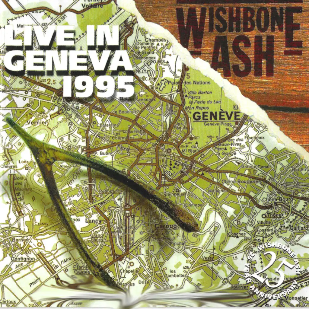 In The Skin (Live In Geneva 1995)