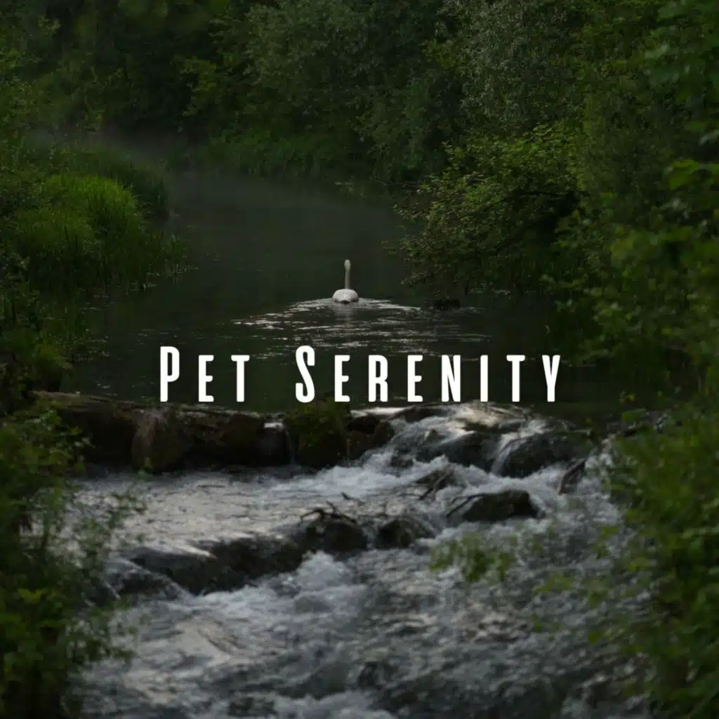 Soft Water Streams Sounds