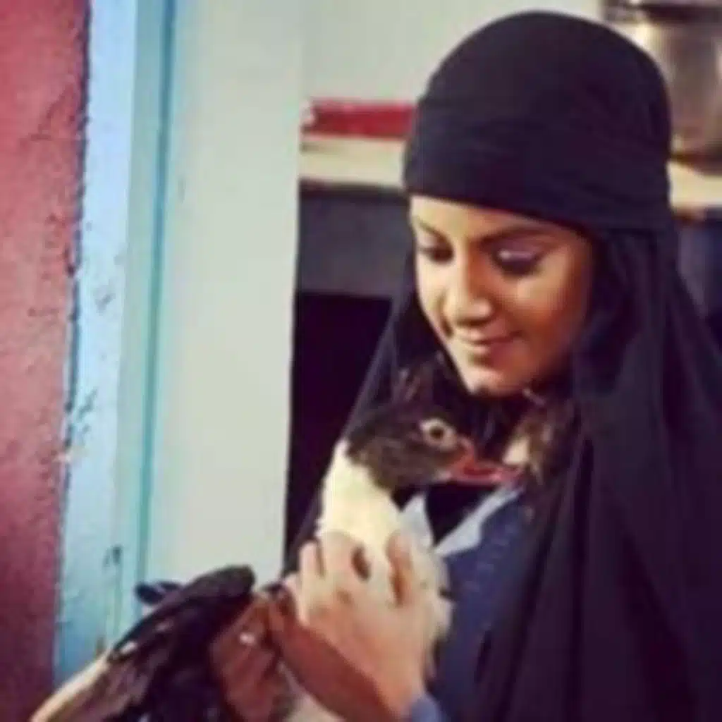 تتر بت القبايل