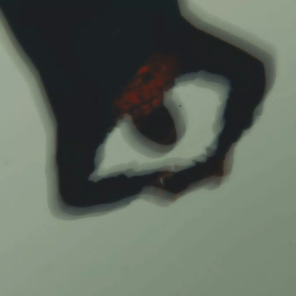 Passion for Fatima :: Her Dream (feat. Sloane Sphepho)