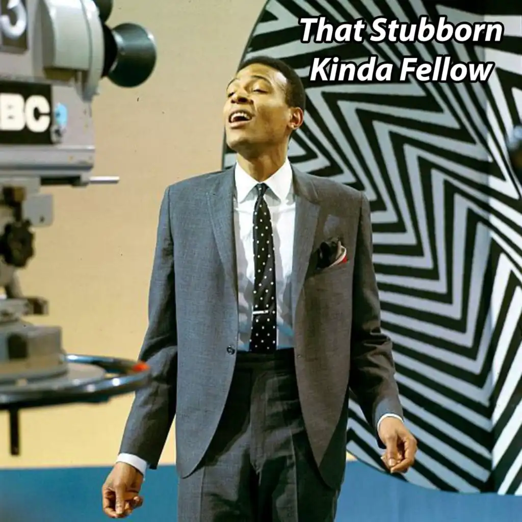 Stubborn Kind Of Fellow