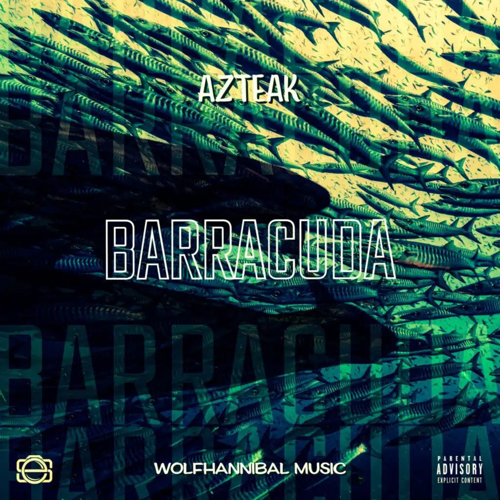 Barracuda