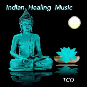 Indian Healing Music (1 Hour Relaxing Indian Music for Yoga and Meditation Performed on Indian Flutes, Tablas, Sitar, Drums and Chants)