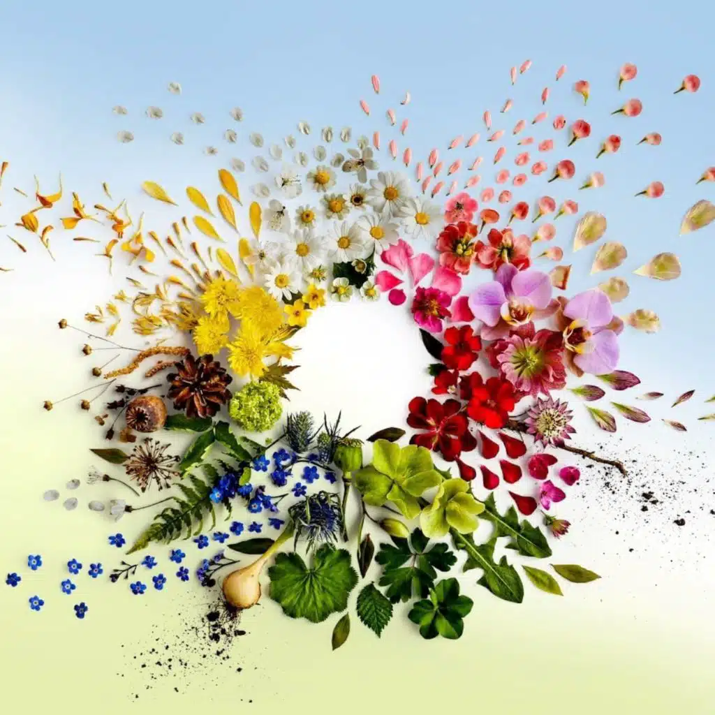 Podden med Anders Eldeman publiceras på eftermiddagen