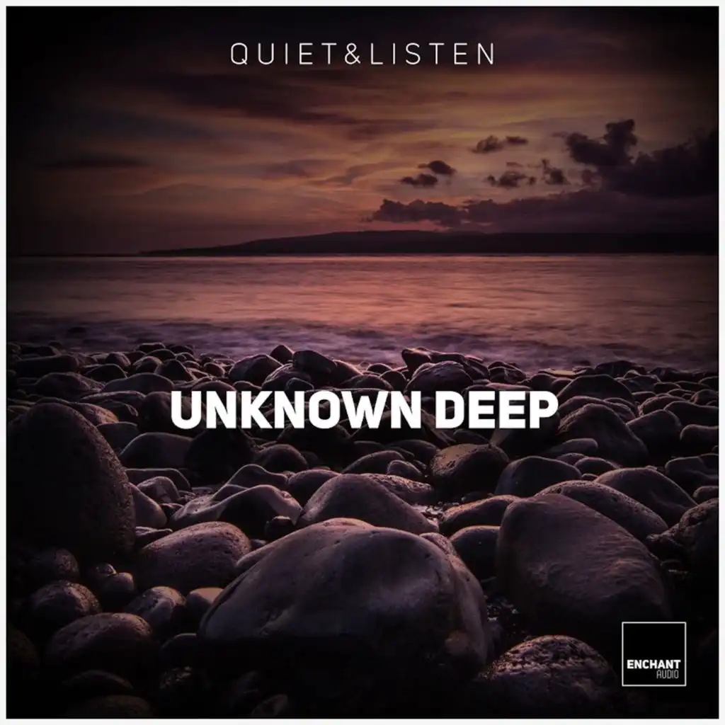 Unknown Deep (David Bucka Remix)