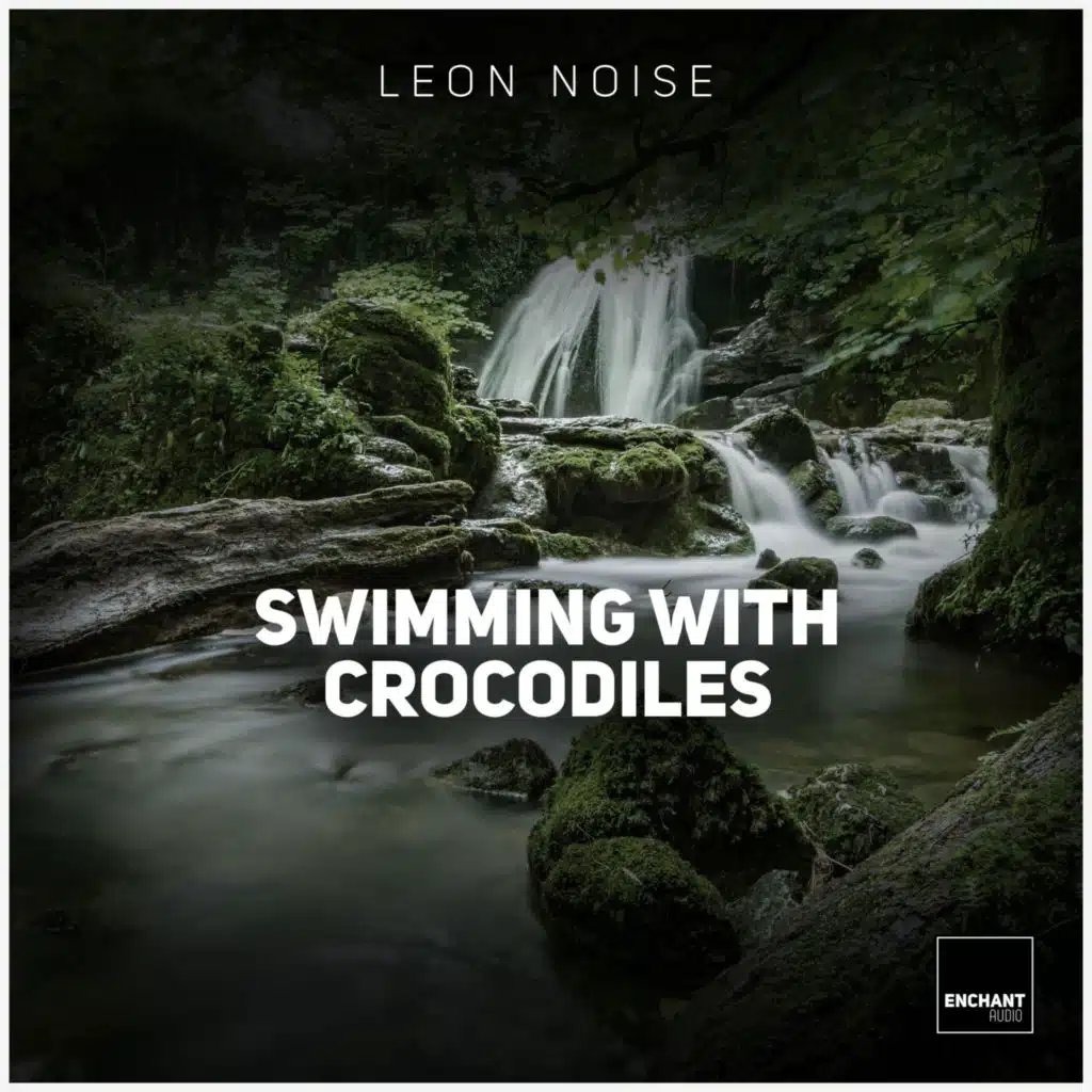 Leon Noise