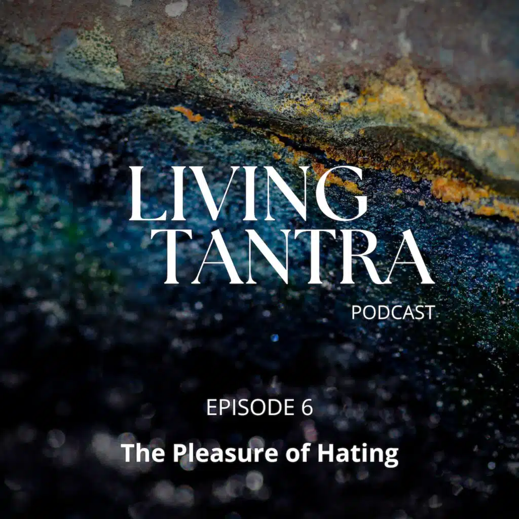 #6 The Pleasure of Hating