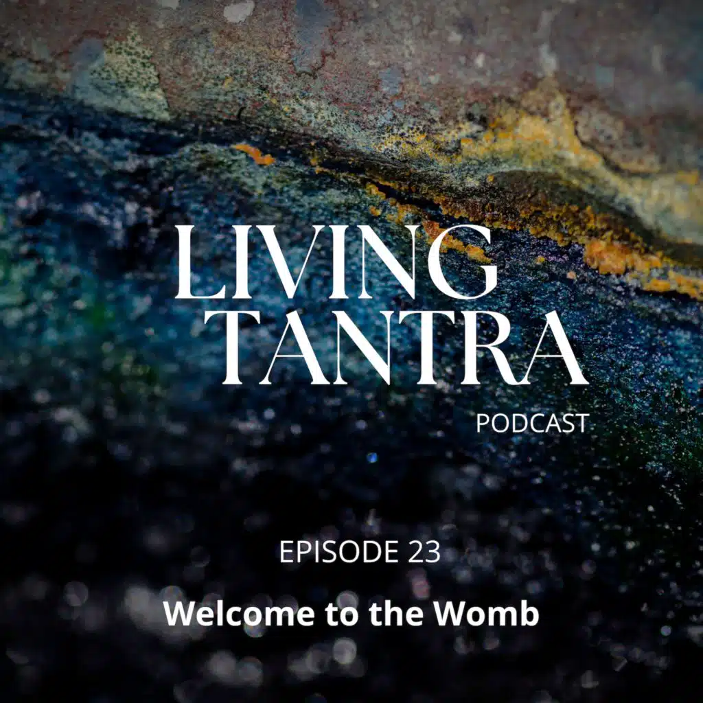 #23 Welcome to the Womb