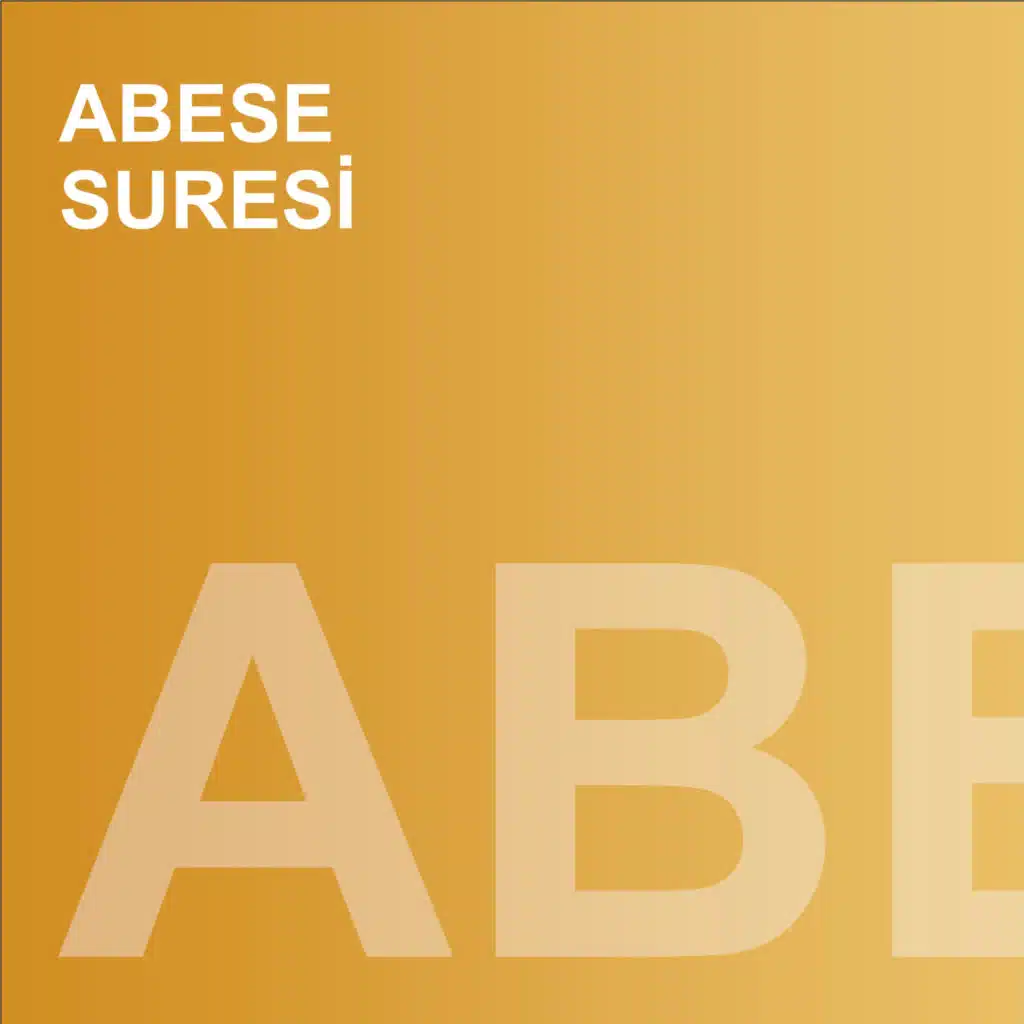 Abese Suresi (feat. Muhammed Mekin Kayaş)