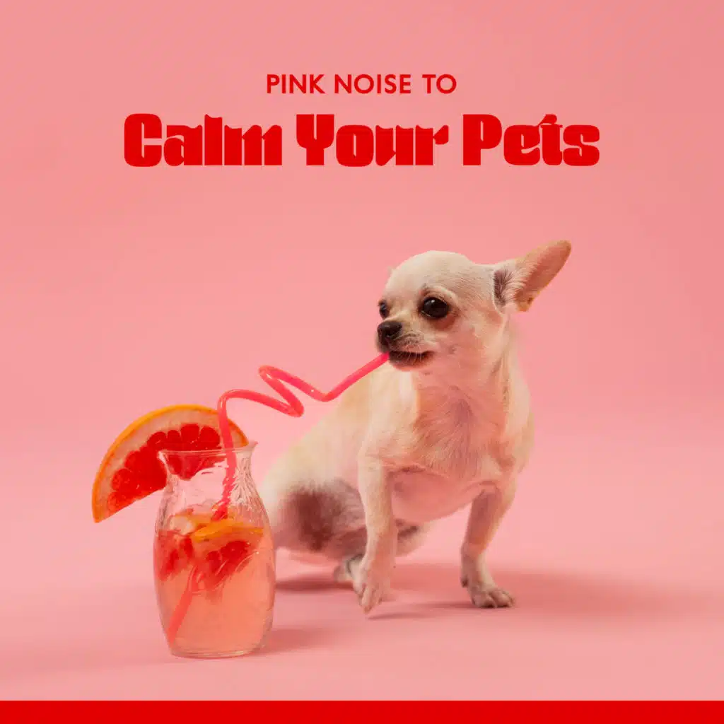 Pink Noise!