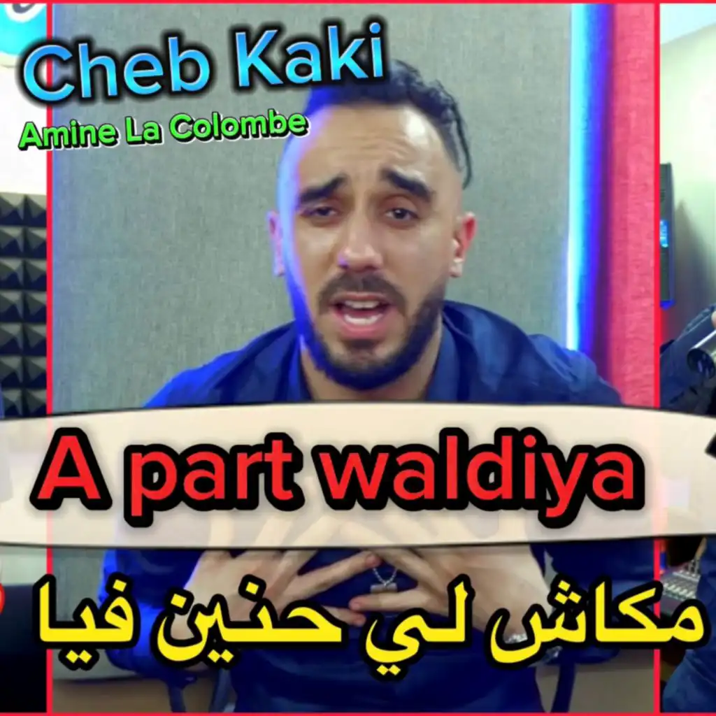 A Part Waldiya (feat. Amine La Colombe)