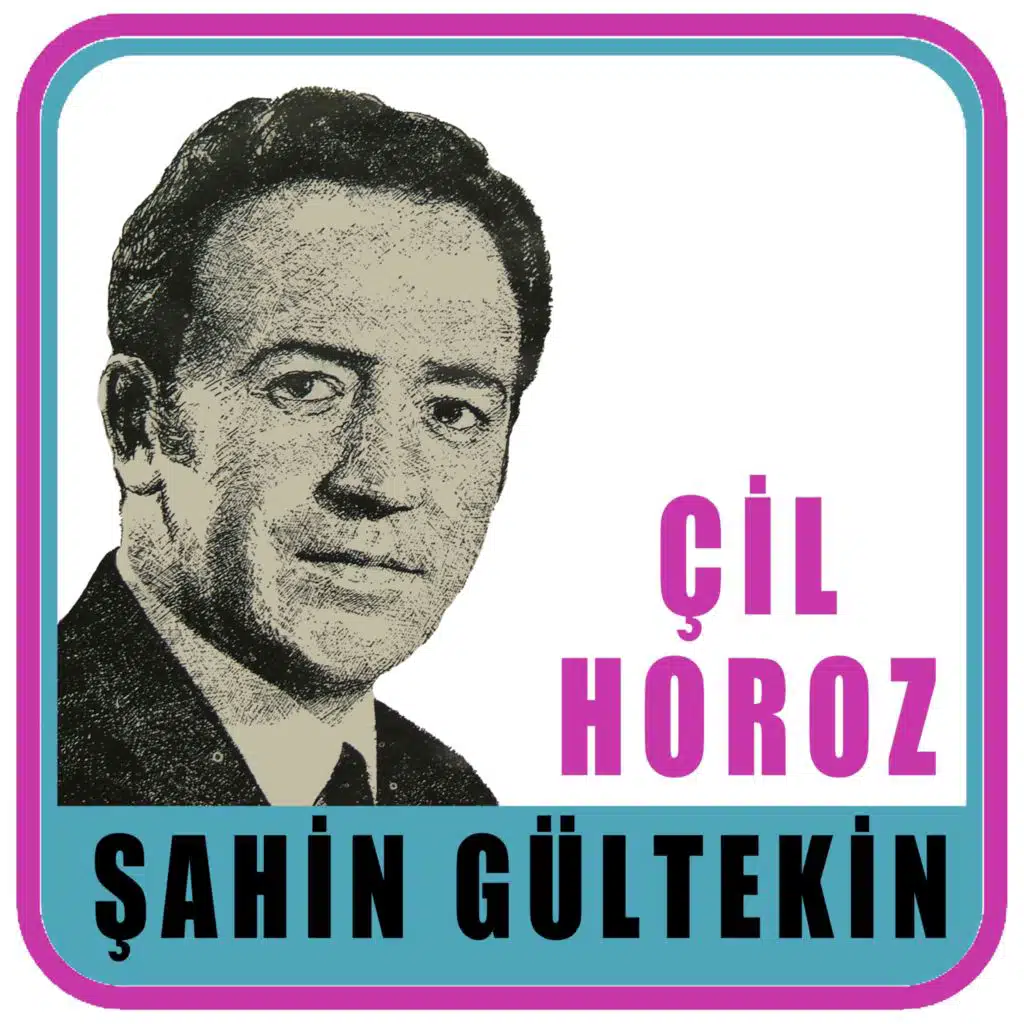 Şahin Gültekin feat. Dönüşüm