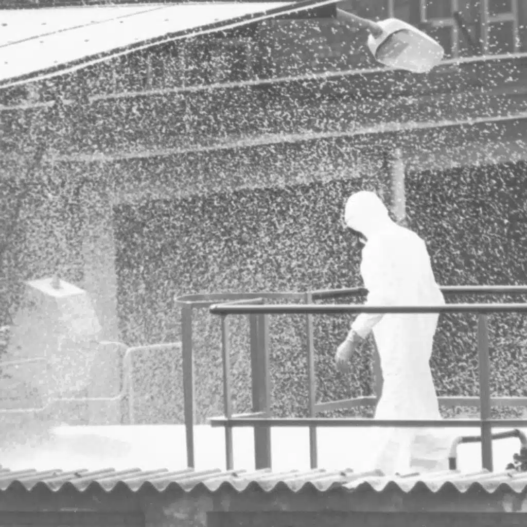 Giftiger Schnee im Sommer - Lehren aus der Katastrophe von Seveso