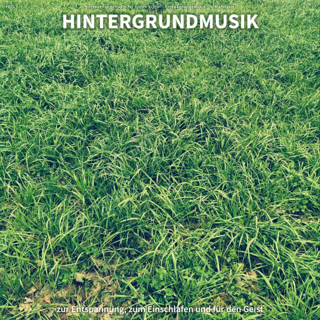 #001 Hintergrundmusik zur Entspannung, zum Einschlafen und für den Geist