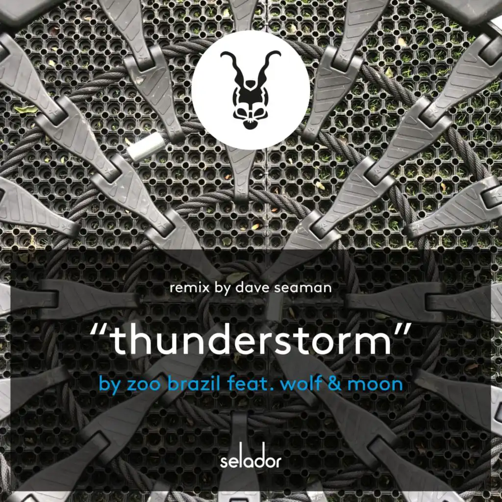 Thunderstorm (feat. Wolf)