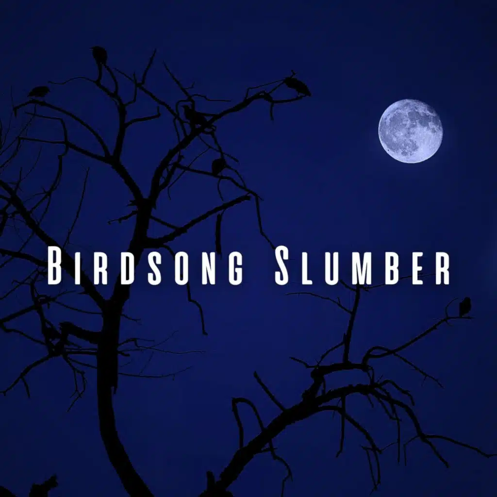 Birdsong Slumber: Chill Music with Nature Sounds for Babies