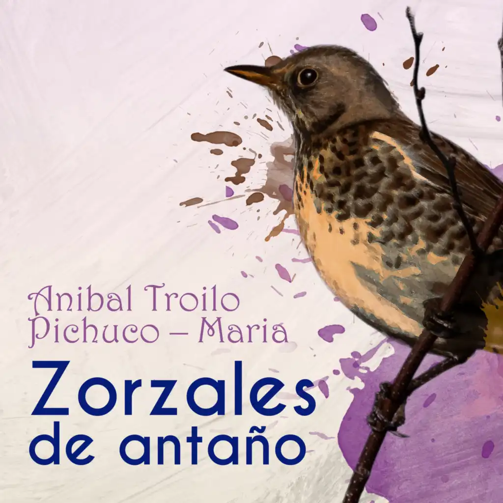 Zorzales De Antaño - Anibal Troilo Pichuco - Maria