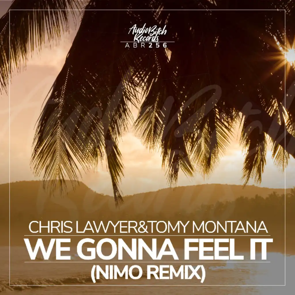 We Gonna Feel It (Nimo Remix) [feat. Nimo(HUN)]