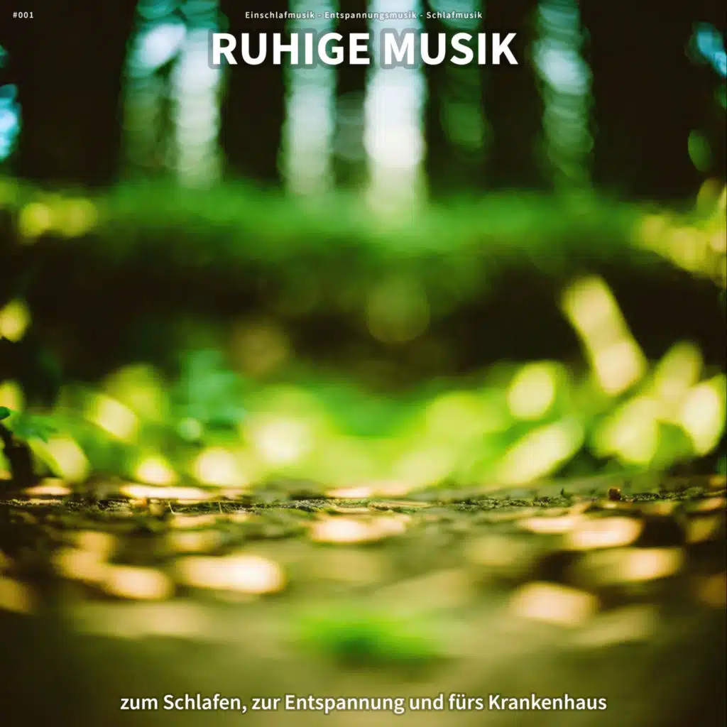 #001 Ruhige Musik zum Schlafen, zur Entspannung und fürs Krankenhaus