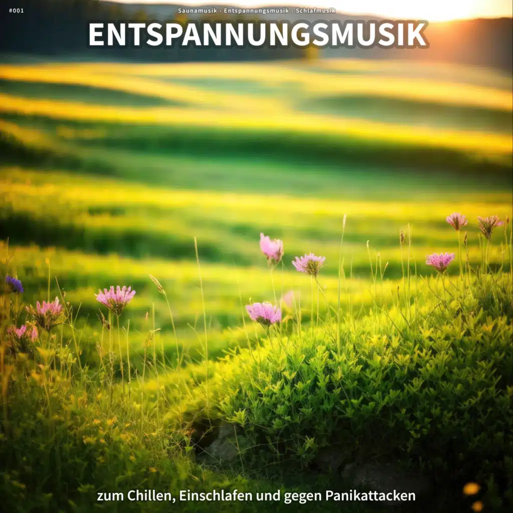 Sanfte Musik für die Seele