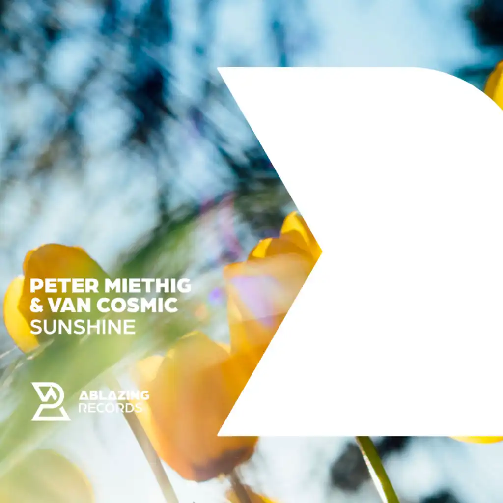 Peter Miethig & Van Cosmic