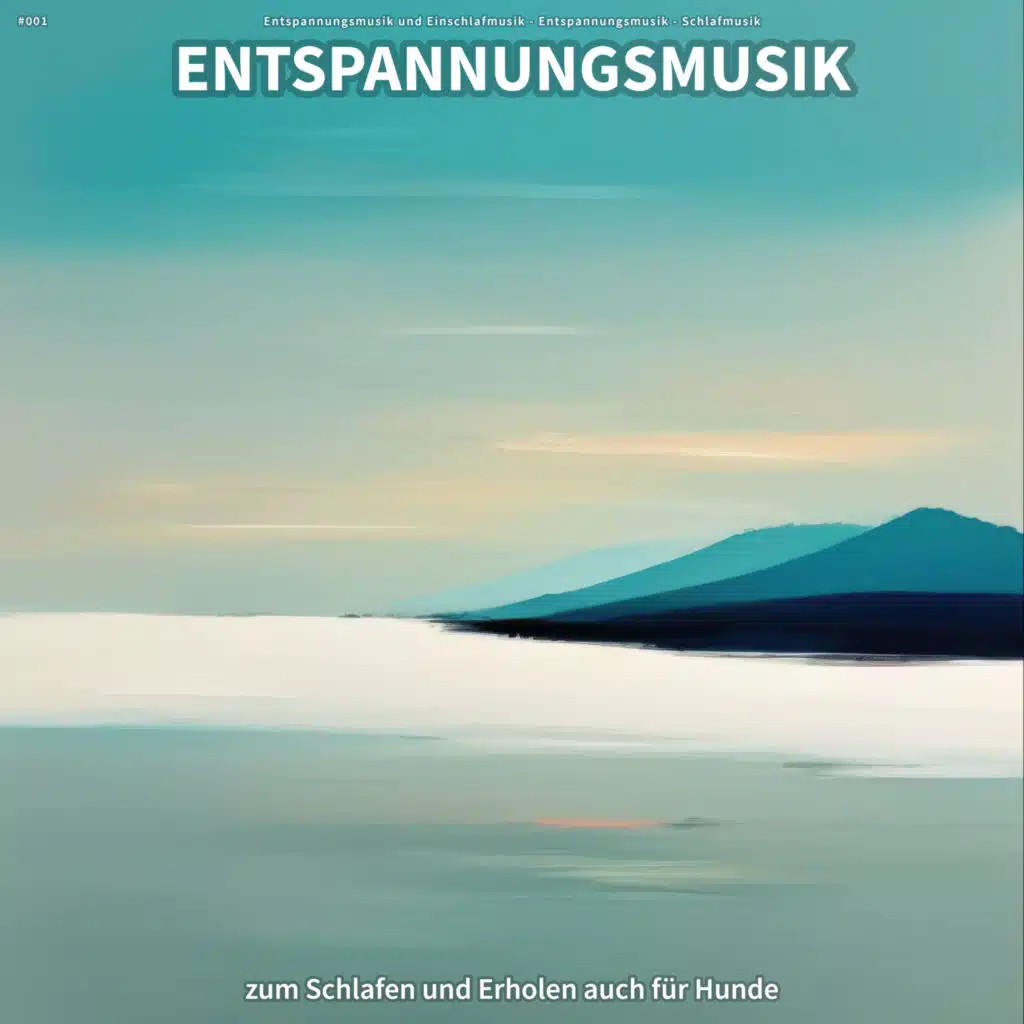 Entspannungsmusik und Einschlafmusik & Schlafmusik