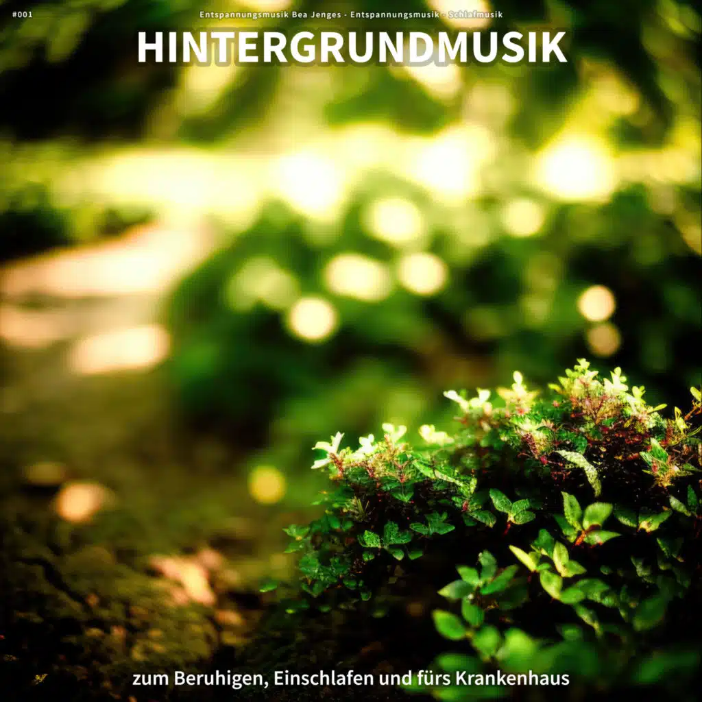 Entspannungsmusik Bea Jenges & Schlafmusik