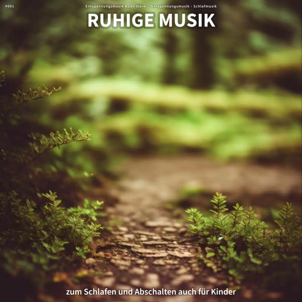 Entspannungsmusik Bodo Steier & Schlafmusik