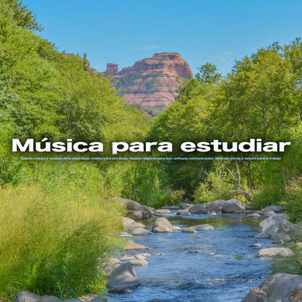 Música para concentrarse