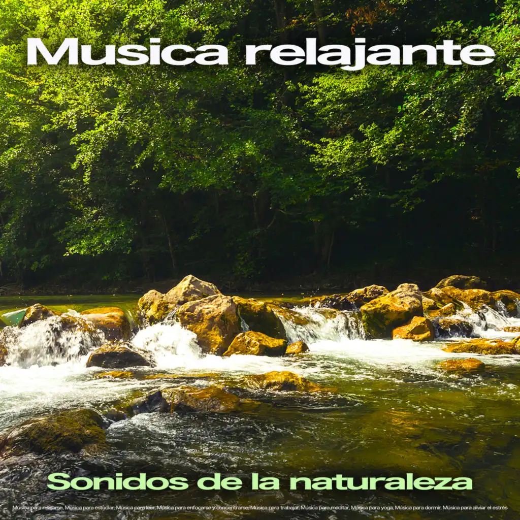 Música tranquila y sonidos de jardín zen- Música para estudiar