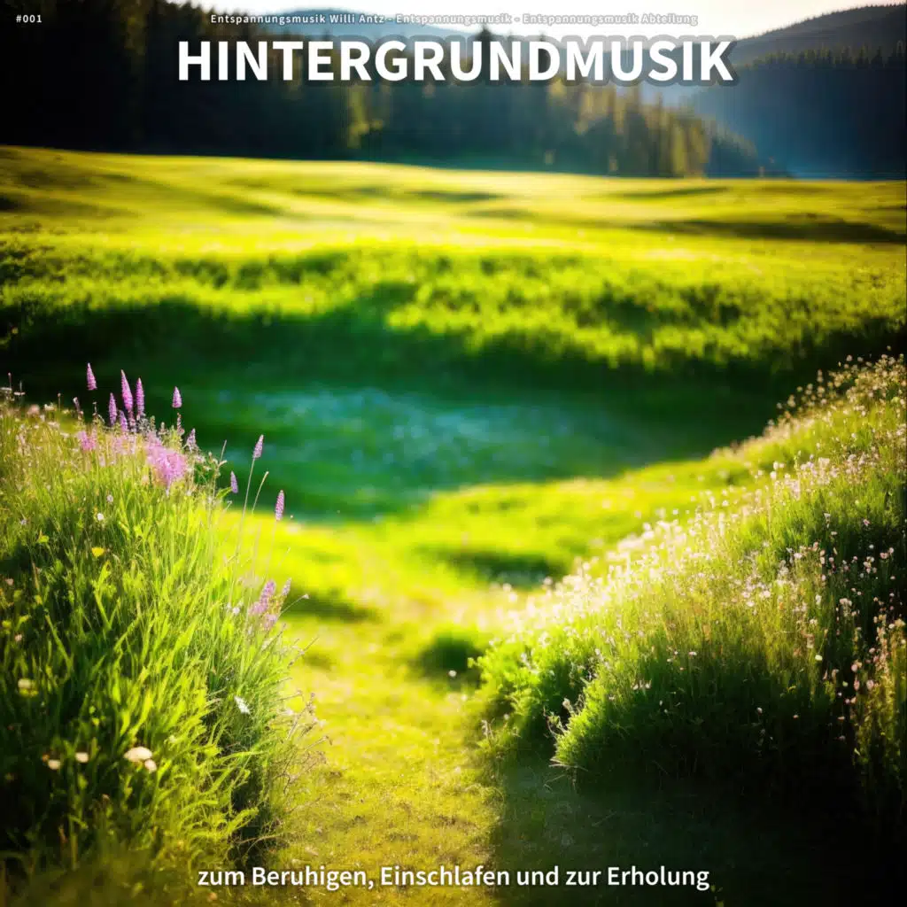 Zarte Klänge gegen Angst