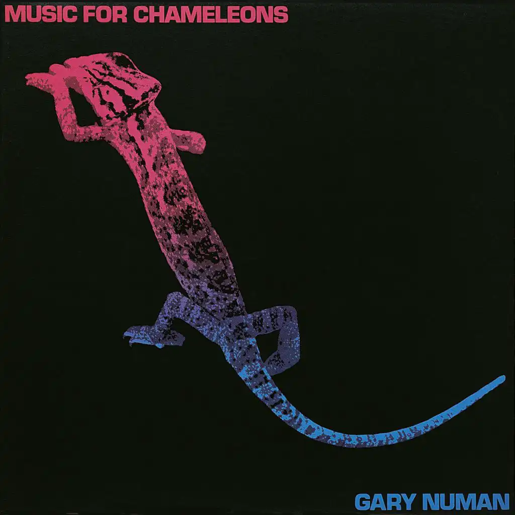 Music for Chameleons (Extended Version)