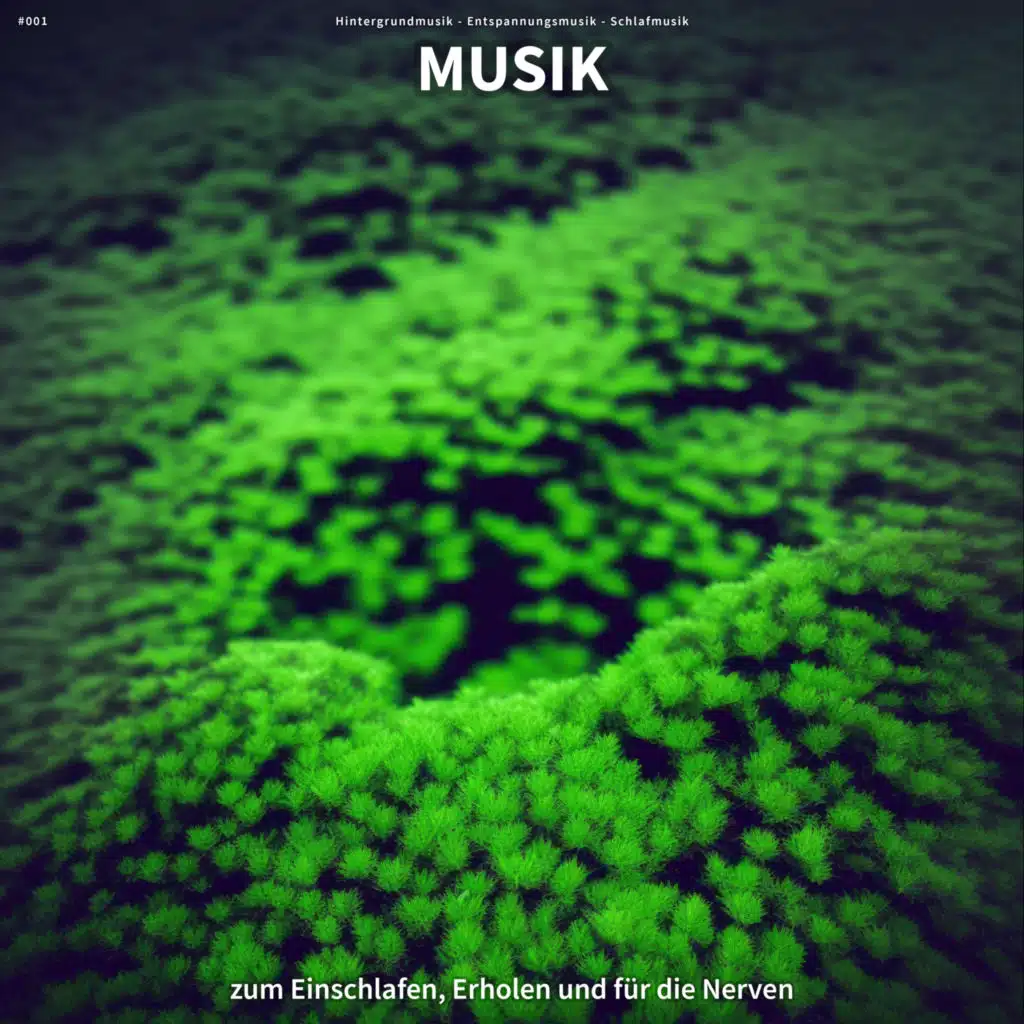 Hintergrundmusik & Schlafmusik