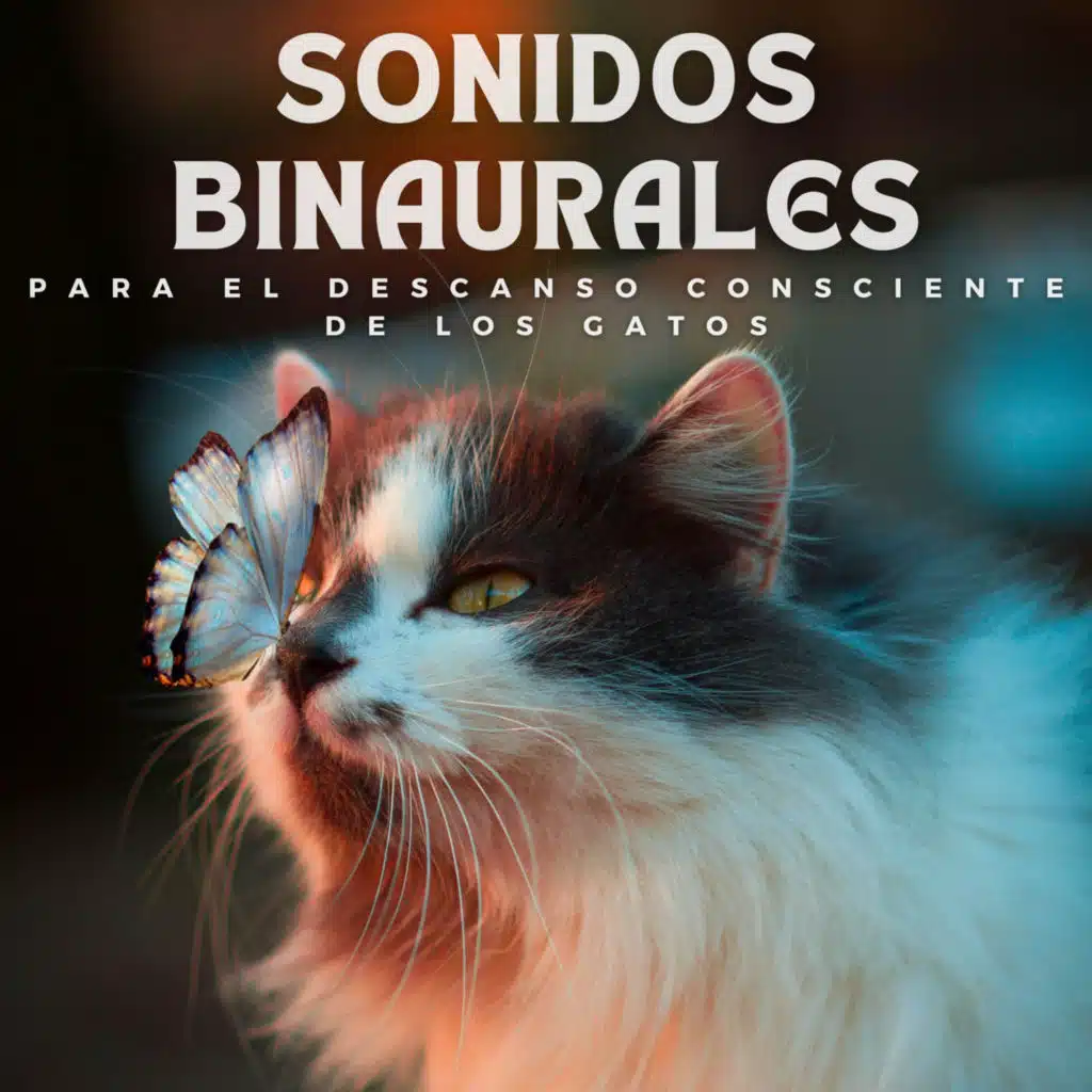 Sonidos Binaurales Para El Descanso Consciente De Los Gatos