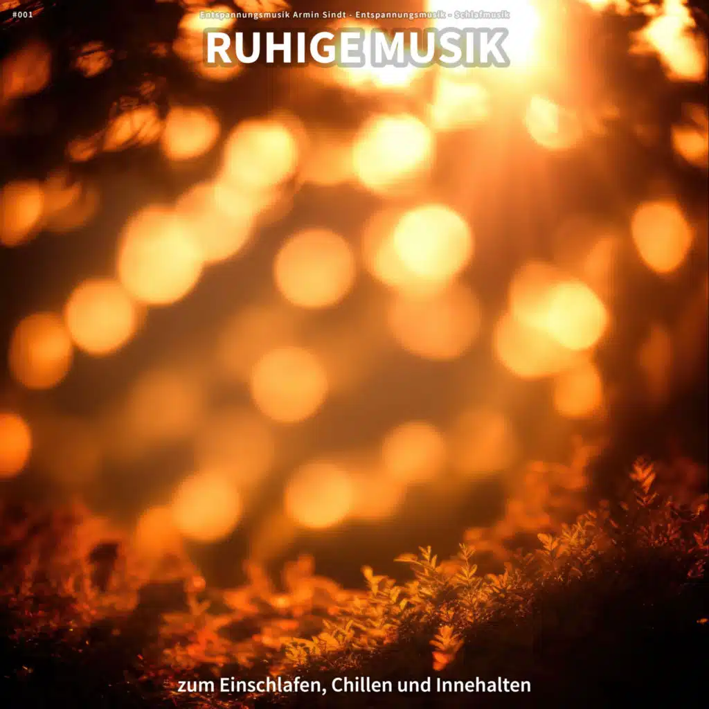 Entspannungsmusik Armin Sindt & Schlafmusik