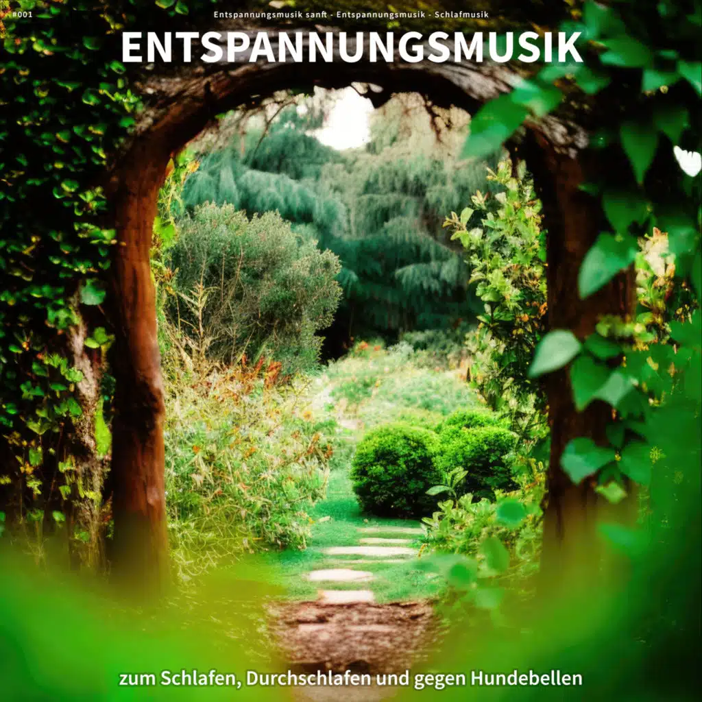 Entspannungsmusik sanft & Schlafmusik