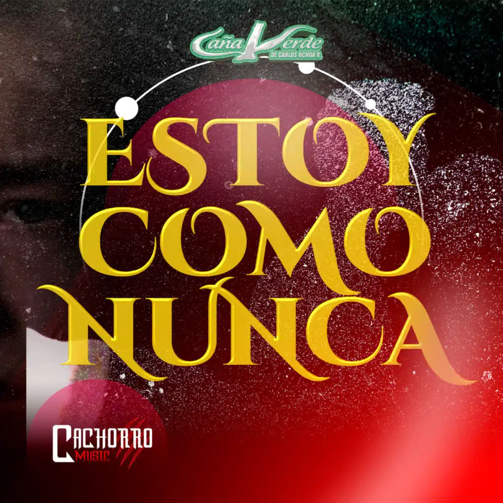 Estoy Como Nunca