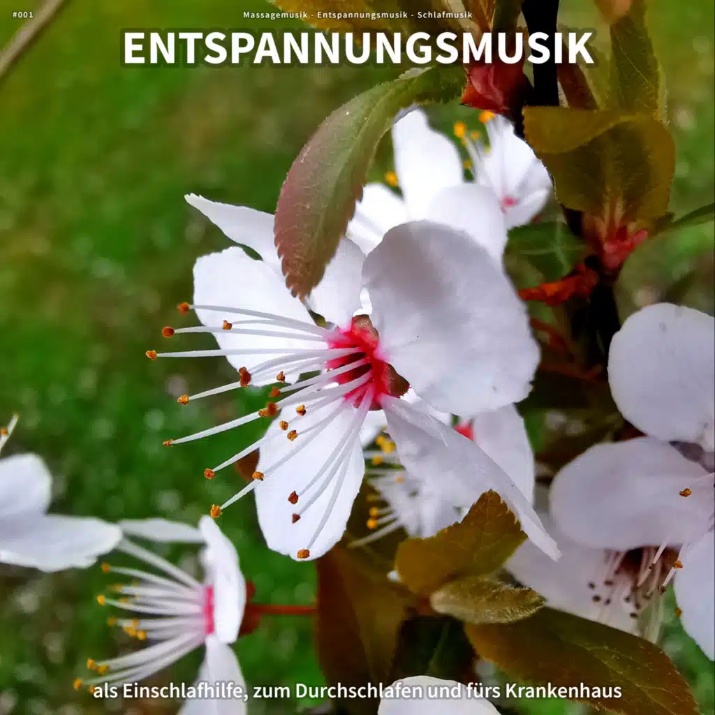 Positives Denken zwischendurch