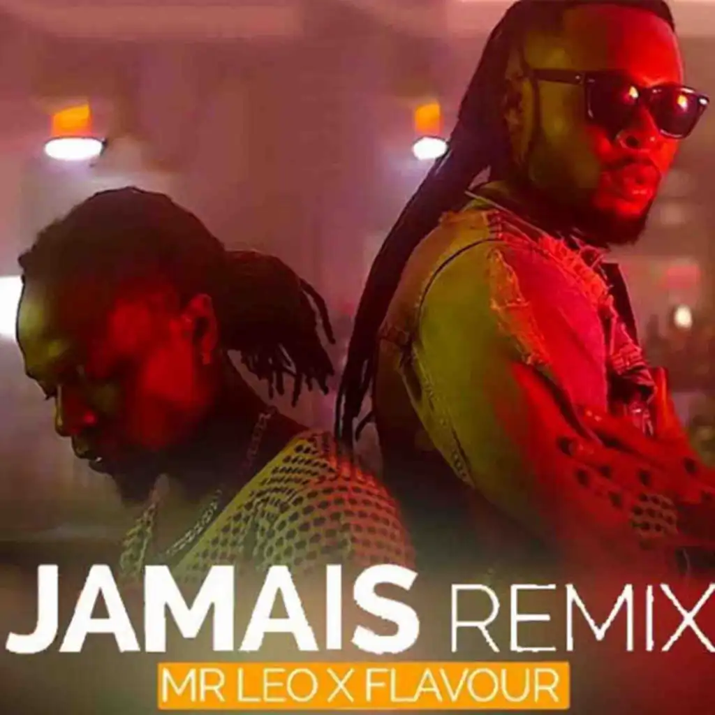 Jamais Jamais (Remix) [feat. Flavour]