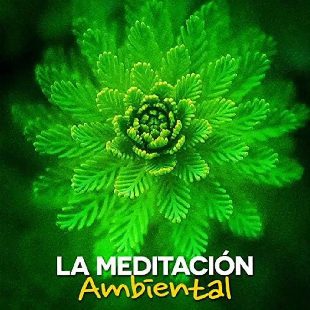 Meditación Musical