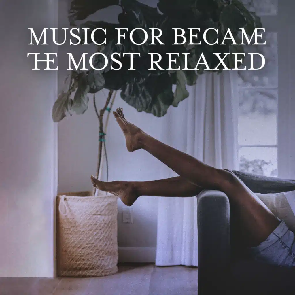 Meditation & Stress Relief Therapy