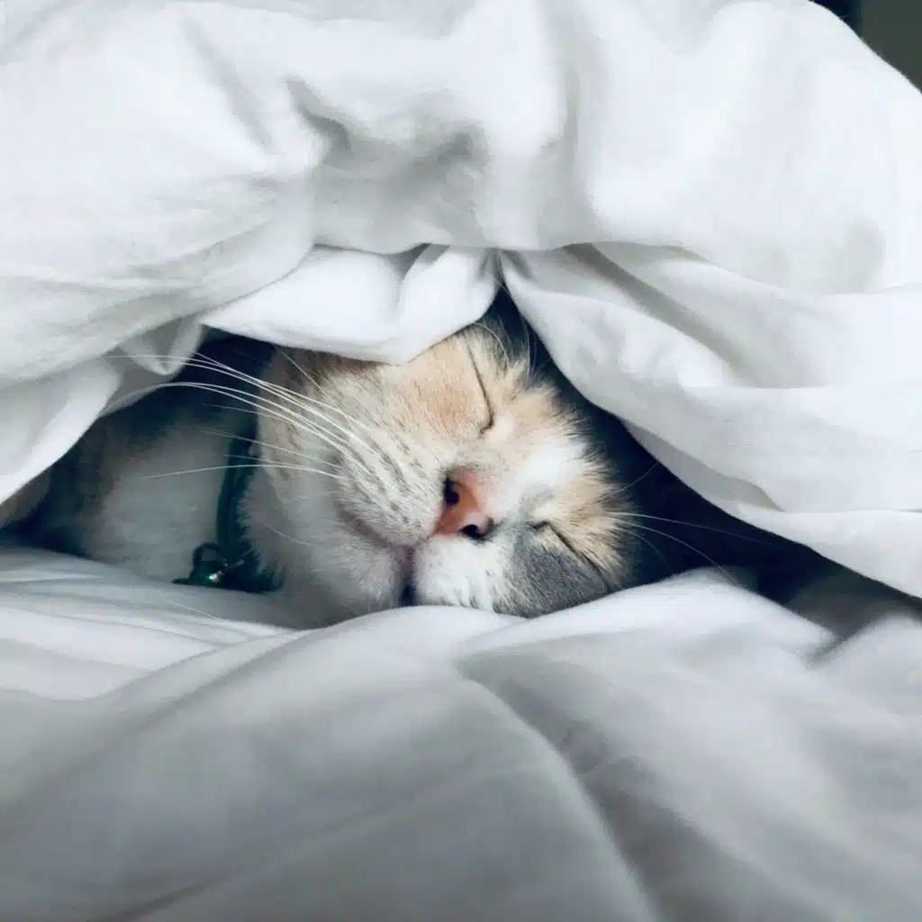 TWIW 206: Lack of sleep increases diabetes risk