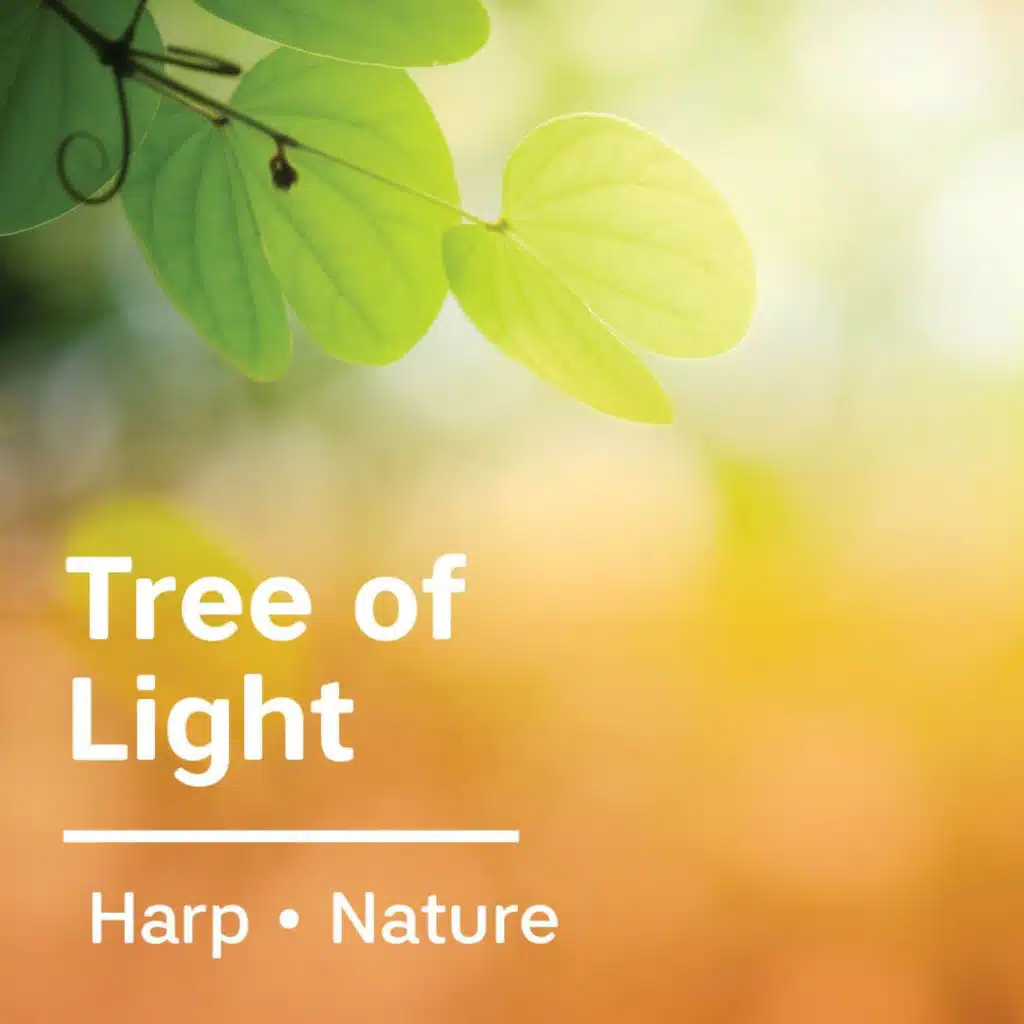 Tree Of Light