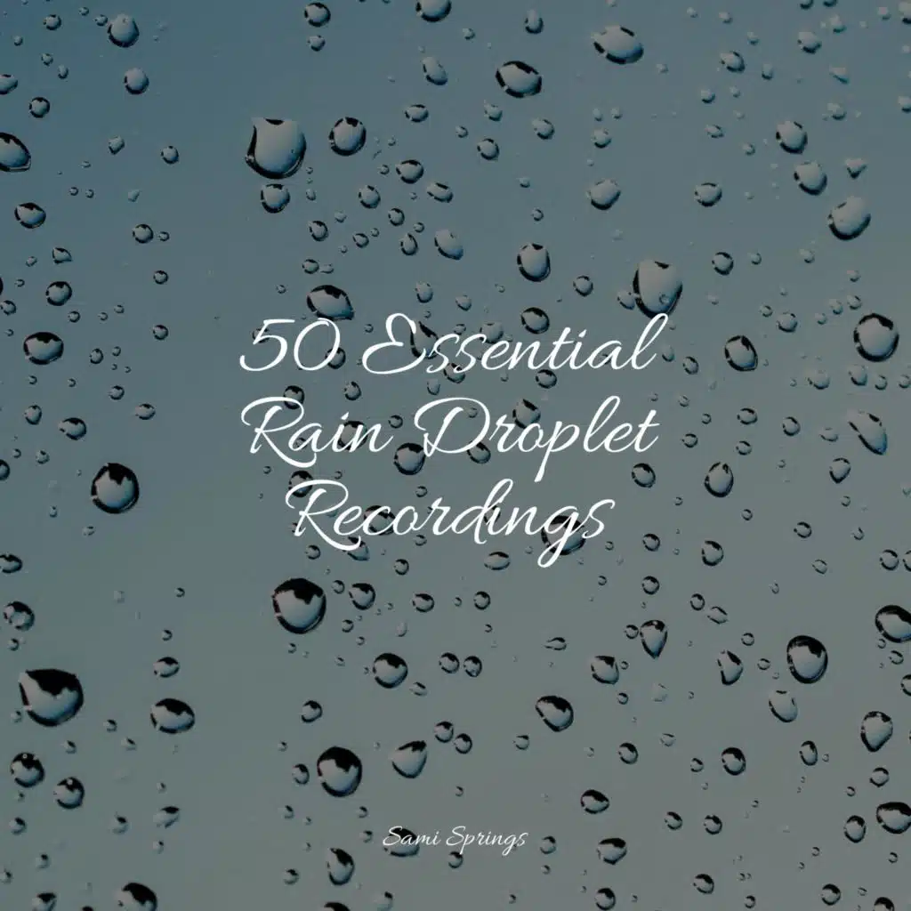 Ocean Waves (Medium)