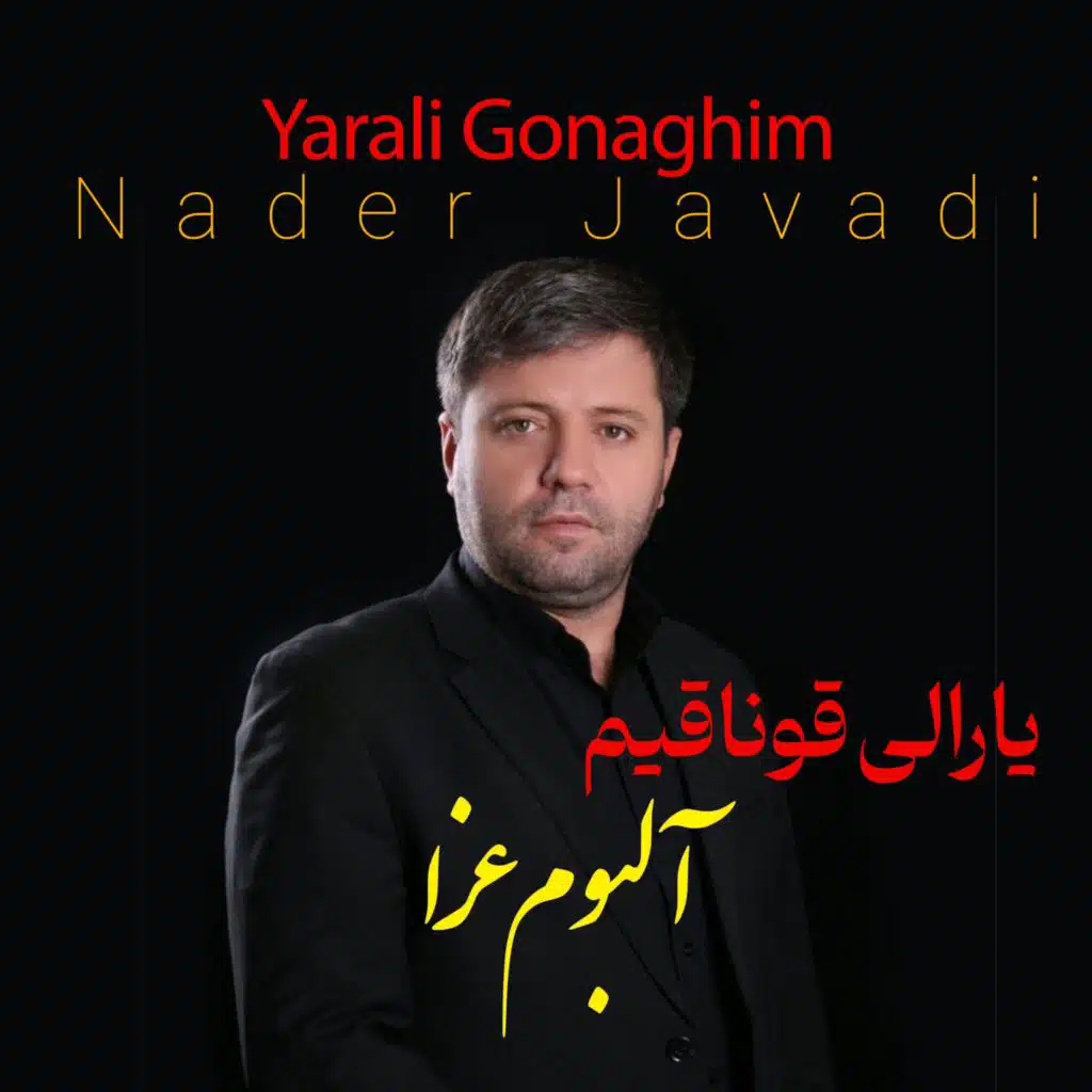 Nader Javadi